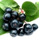 은애농장 이미지