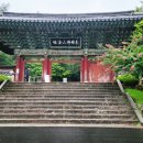 불국사 | 경주 갈만한 곳 불국사 여행 후기