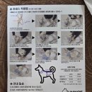 (유)우리환경 | 🐶 유니노스 개인냥심 센슈얼 강아지 리드줄·목줄 솔직 후기 🐶