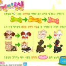 링크애견샵 이미지