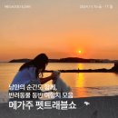 (주)교원프라퍼티 키녹 | [2024 메가주 일산(하)] 기획관 | 낭만의 순간도 반려동물과 함께! &#39;메가주 펫트래블쇼&#39;