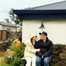 별똥별펜션 | 제주 동쪽 숙소 별똥별채집소 2인 가성비 독채 펜션 내돈내산 후기