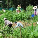 신용농장 이미지