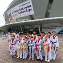 태권도 지화자 이미지