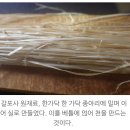 칡에 얽힌 이야기 이미지