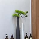 더편한바디앤스파