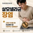 연세속편안내과의원 | 여름철 살모넬라균 장염. 고열 지속될 때 의심해야 할 치명적인 합병증은?