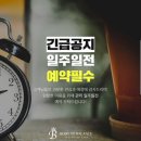 바디투