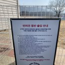 오도도 노리 이미지