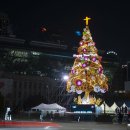 ‘하늘에는 영광, 땅에는 평화’ 초대형 성탄트리 불 밝혀 이미지