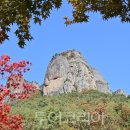 주왕산맛집펜션 이미지