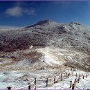 제241차 광주 무등산(1187m) 눈꽃산행안내 이미지
