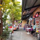 다온.댕 이미지