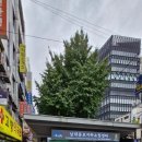 새로나약국 이미지