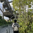 디오재 | 오사카 유니버셜 스튜디오 재팬 USJ 평일 오픈런, 어트랙션 후기 (+동선, 꿀팁)