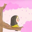 연모지정 이미지