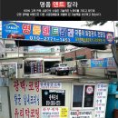 명품덴트칼라 이미지