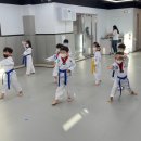 마루한멋태권도 이미지