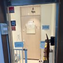 고양이 미용&호텔 뽀냥 이미지