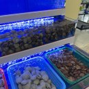 평택조개구이무한리필 이미지