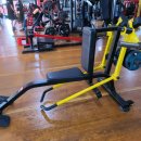 시드니 휘트니스 이미지