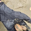 57빌리지 이미지