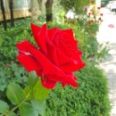 송화세탁소 이미지