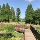 노루벌적십자생태원 이미지