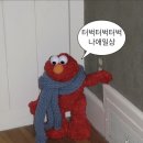 누네트안경 | [10월 일기] 추석도 지났고 이제 겨울인가봐 겨울의 뜻은 뜨개를 하란 것