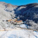 효스테이 이미지