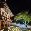 가야금(야간) | [안동 여행 5편] 도산서원 야간개장 후기 🌕 월영교보다 더 대만족한 로맨틱 야경