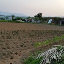 옥성그린공인중개사사무소 이미지