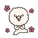 안전세차장 네이버블로그