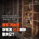 천만농장 이미지