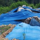 구암동202 이미지