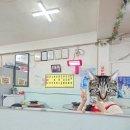 일등돼지 | [동대문] 일등곱창(돼지곱창) 후기 / 내돈내산 후기 (N회차 방문)