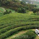 (주)테마캠프여행사 이미지