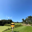 영중참갈비 이미지