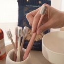 운동공장 | 부드럽지만 강력한 세정력✨ 잇몸까지 편안한 칫솔공장 미세모 칫솔추천 후기!