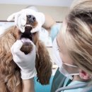 웰니스크리닉 이미지