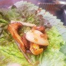 용두동쭈꾸미 Daum카페
