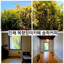 군청본관 좌측 | 경남 진해 목향장미 적산가옥 카페 송학커피 절정에 다녀온 후기