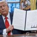 뽑아뽑아 이미지