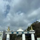 고메막국수 | 제천 청풍호 맛집 고메막국수 내돈내산 후기!