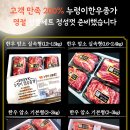 누렁이한우종가