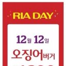오징어데이 이미지