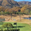 포도컨트리클럽 이미지