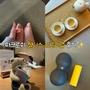 웰니스9 | 정선 파크로쉬 요가 듀오볼 웰니스 프로그램 예약 후기