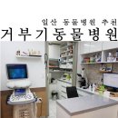 거부기 동물병원 이미지