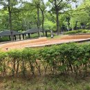 황토길 Daum카페